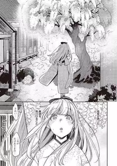 Anata no Yokubou no Iremono desu.