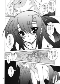 (C74) [PLUM (Kanna)] Mahou Shoujo Magical SEED OTHER (Mahou Shoujo Lyrical Nanoha)
