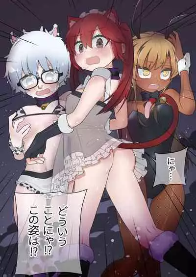 Shounen Hero Sentai, TS Aigan Petto-ka no Wana!