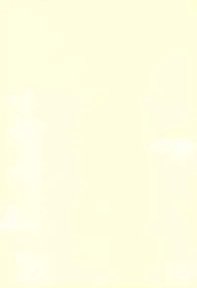 Mahou Shoujo wa Sainan nano