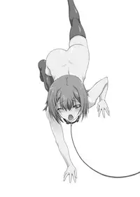 [F.A (Honoutsukai)] Hideyoshi to Nikubenki to Choukyou Geki Ichi (Baka to Test to Shoukanjuu) [Digital]