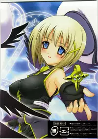 (C74) [Kakogawa-ya (Kakogawa Tarou)] Party Bullets (Mahou Shoujo Lyrical Nanoha)