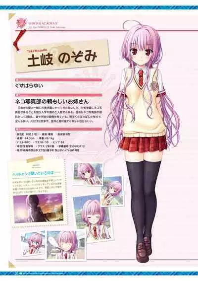 Daitoshokan no Hitsujikai Visual Fan Book Houkago Shippo Days & Dreaming Sheep Visual Fan Book