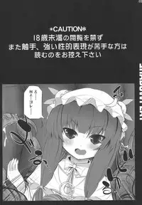 (C77) [INST (interstellar)] SHADOWPLAY (Touhou Project)