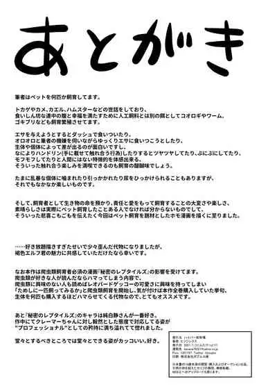 Kasshoku Elf-kun no Kaikata