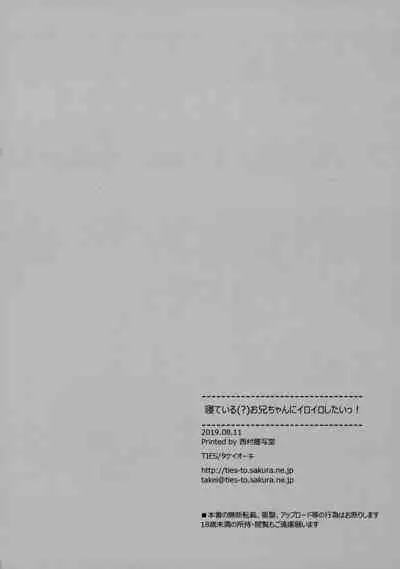 (C96) [TIES (Takei Ooki)] I Want to Do Lots of Things With My Sleeping Onii-chan! [English] [TRJR]