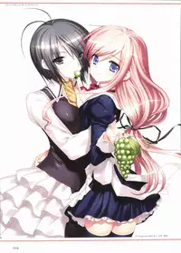 Sakura Sakura Visual Fan Book