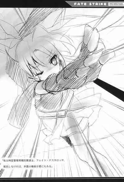 (Mimiket 19) [P-POINT (Pikazo)] FATE STRIKE (Mahou Shoujo Lyrical Nanoha)