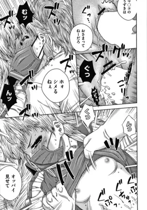 Bishoujo Koushuu Nikubenki