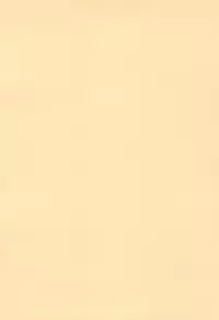 (Reitaisai 14) [Cat Expert (Nekousa)] Chen to Issho -Ohirune mo Issho- (Touhou Project)