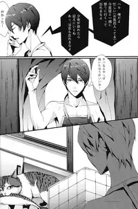 (C85) [CSSM (aha, E)] SUMMER DREAM (Free!)