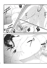 (COMIC1☆6) [Otona Shuppan (Hitsuji Takako)] Infinite ☆ Seicross 3 (IS <Infinite Stratos>)