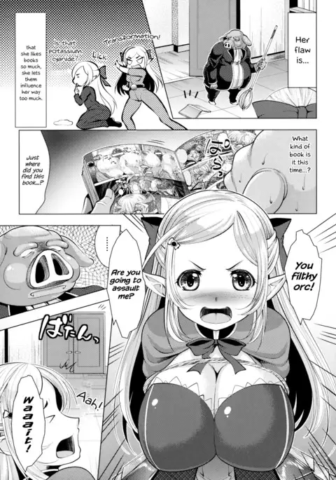 The Servant of the Lady Knight + Extra | Onna Kishi no Meshitsukai + Bangaihen