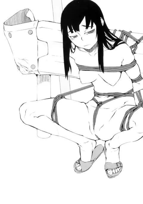 PM3-12 no Reizouko