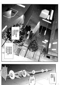 (COMIC1☆9) [Cyclone (Izumi, Reizei)] T-22 Nanoism (Mahou Shoujo Lyrical Nanoha) [Chinese] [魔法猪汉化]