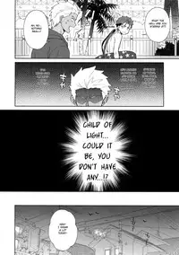 (Dai 15-ji ROOT4to5) [Various (Various)] Summer Report (Fate/Grand Order) [English] [Anzu]