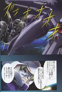 (C75) [HenReiKai (Kawarajima Koh)] SEED ANOTHER CENTURY D.E 7 (Gundam SEED)