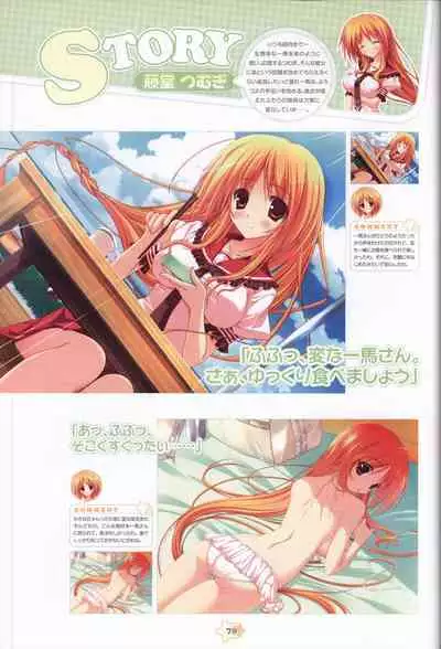 Hoshizora e Kakaru Hash visual fanbook