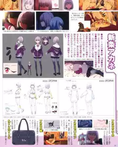 SSSS.GRIDMAN 超全集