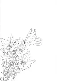 [Noraneko-no-Tama (Yukino Minato)] Hikari no Kimi no Saganaki Keikaku <Akashi> [Chinese] [嗶咔嗶咔漢化組] [Digital]