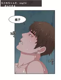 私生,爱到疯狂 完结