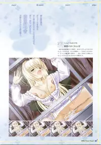 clover heart's visual fan book