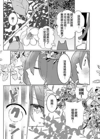 Hoshi wa Yoake to tomoni. | 星与黎明共此时。