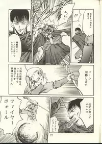 [Waku Waku Doubutsuen, Neko Apron (Various)] DIEDLIT 2 (Record of Lodoss War)