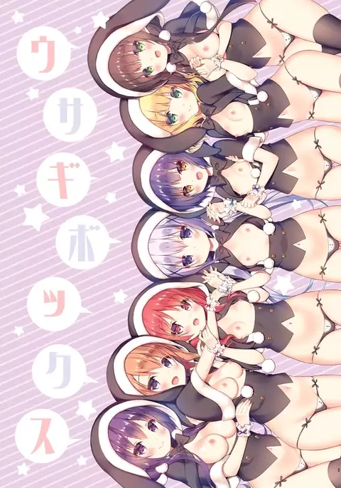 ウサギボックス