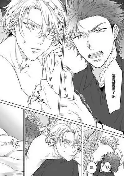 Fukurou no Koiwazurai | 猫头鹰的相思病