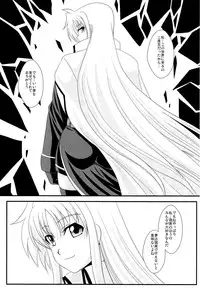 (Lyrical Magical 10) [Take Out (Zeros)] F&L (Mahou Shoujo Lyrical Nanoha)