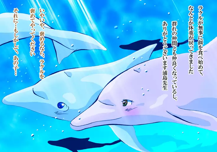 iruka no suuki na unmei