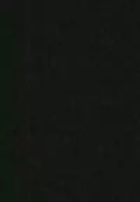 [Area7 (Kinata)] Kemono no Yakata (Azur Lane) [Chinese] [胸垫汉化组] [Digital]