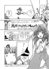 (C74) [Shoujo Zukin (Hatomugi Munmun)] Marecollect (Touhou Project)