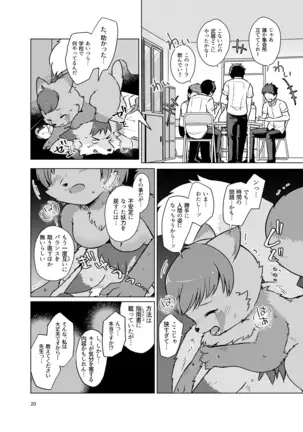 Transformation Guidance Report