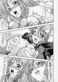 (C68) [K2 Tomonokai (Mizuki)] Gundes Arekore (Gundam Seed Destiny)