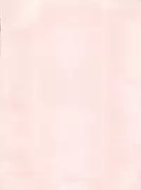 (C47) [Pink Macadamian (Various)] PINK MACADAMIAN Vol. 2 (Various)