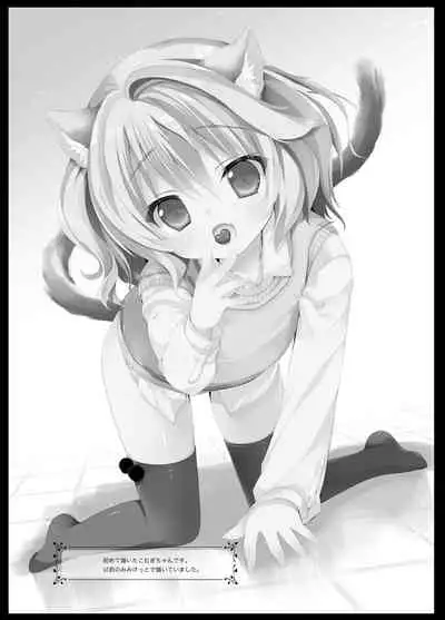 Koneko no Kaikata