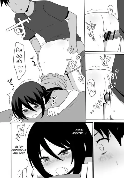 Ako-nee to Issen o Koeta Hi. | The day I went over the line with Ako-nee