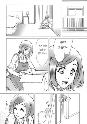 (C91) [A La Fraise (NEKO)] EVER AFTER ㅣ에버 애프터 (Bleach) [Korean]