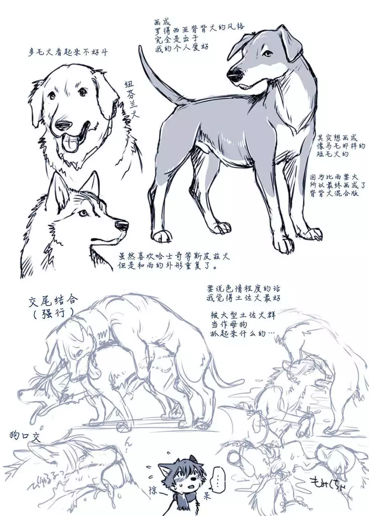 Aru Inu no Baai | 某只狗的视角