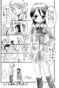 (C62) [73feti, Lychee. (Hinoe Nami, Mizunoto Lychee)] Apollo (Bleach)