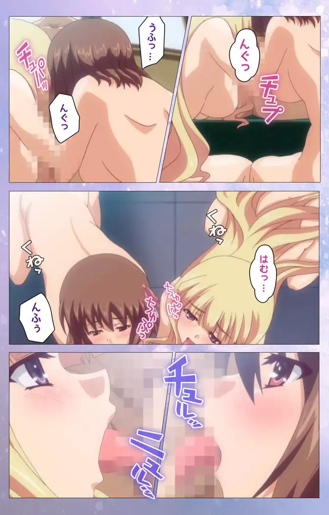 Hakoiri Shoujo -Virgin Territory- Complete ban