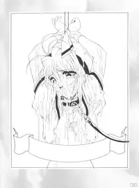 (C53) [AKKAN-Bi PROJECT (Yanagi Hirohiko)] Code Number wa 20 (Cardcaptor Sakura)