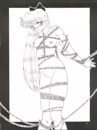 (C45) [Ariari no Nashinashi (Wave)] Side Story Ver. 3.01 (Bishoujo Senshi Sailor Moon)