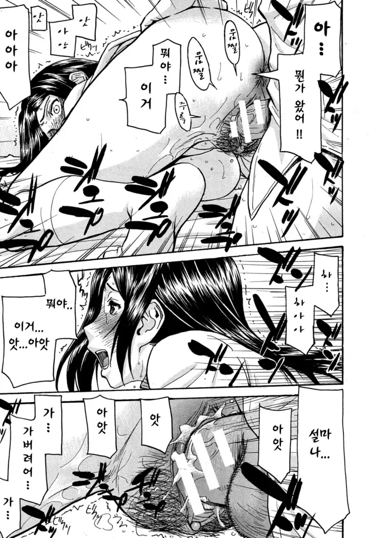 ミダラナシセン