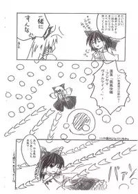 (SC25) [D-Club (D-ALICE)] Touhou Rankasai (Touhou Project)