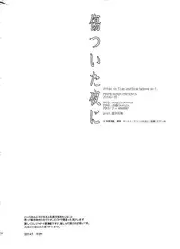 (C86) [RIX (Mamiya)] Kizutsui ta yoru ni (Shingeki no Kyojin)