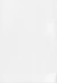 (C73)[Sangatsu No Lion (Don Shigeru)] Fog Field (Darker Than Black)