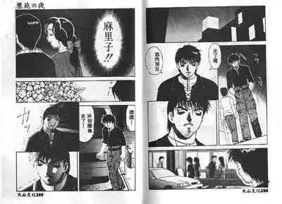 Shion No Yoru Aizouban